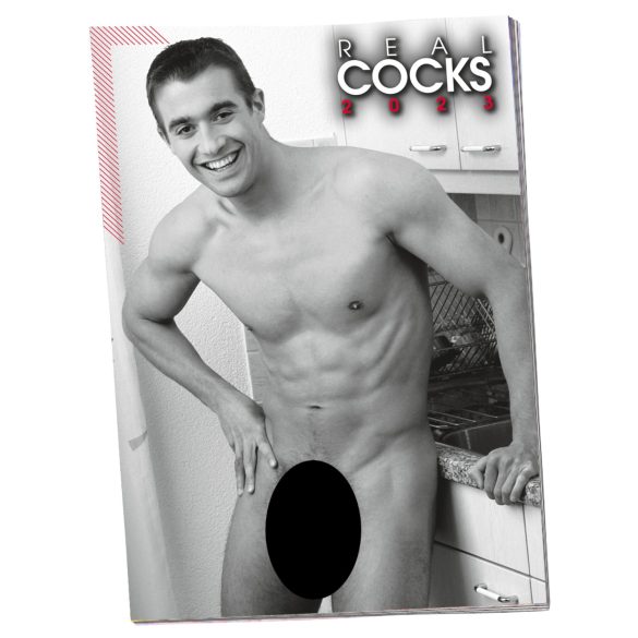 Nackte Männer Kalender - 2026