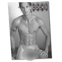 Real Cocks 2027 - erotischer Wandkalender (1 Stück)