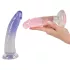 You2Toys - Strap-on Set - zum Anlegen, 2 Dildos