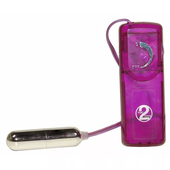 You2Toys - Erotische Überraschungen - Vibrator Set (12 Teile)