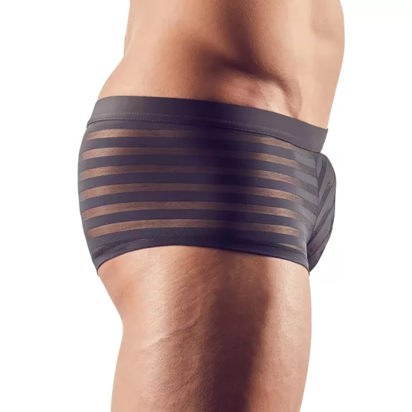 Transparente, gestreifte Boxershorts (schwarz)
