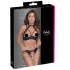 Cottelli - Spitzen-Push-Up-Set mit Halsband (schwarz) - 85B/L