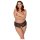 Cottelli Curves - Offene Spitzenpanty (Schwarz) - XL