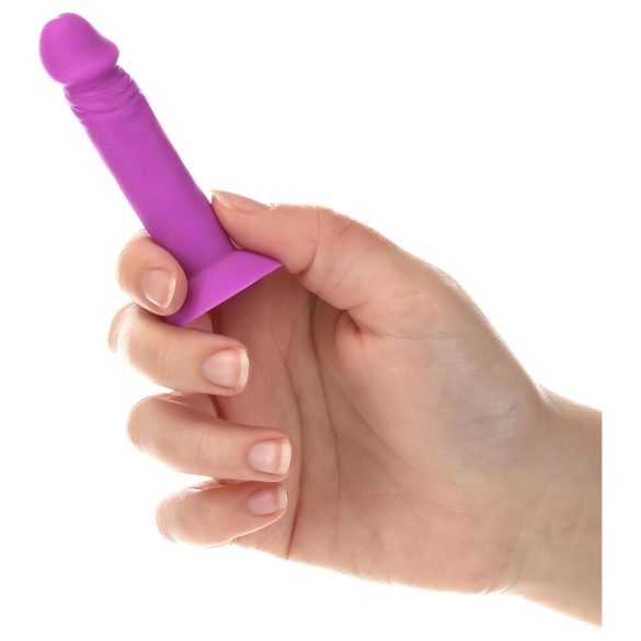 Silly Willy - Haft-Silikondildo - 12 Stk (bunt)