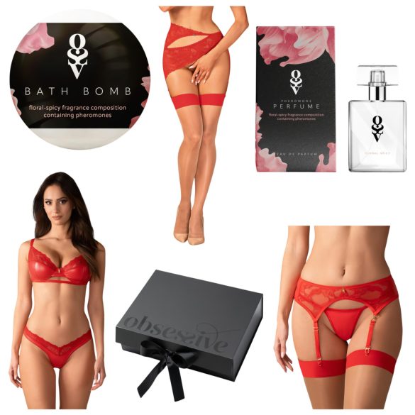Obsessive Aloisa - Dessous-Geschenkbox - 6-teilig (Rot) - L/XL