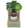 Coconutoil - Bio Enthaarungs- & Rasieröl (50ml)