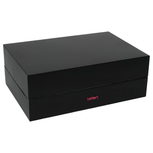 LETEN SM FUTURE PRO - Akku, heizend, auf-ab Bewegungsmasturbator