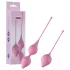 Passion Play - Geishakugel-Set (Pink)