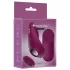 Passion Play - ferngesteuerter, magnetischer Slipvibrator (bordeaux)