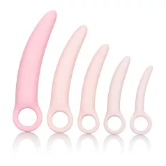   CalExotics Inspire - Vaginaldilatator-Set für Wohlbefinden (Pink)
