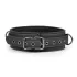 Easytoys - Fetisch Halsband & Leine (schwarz)
