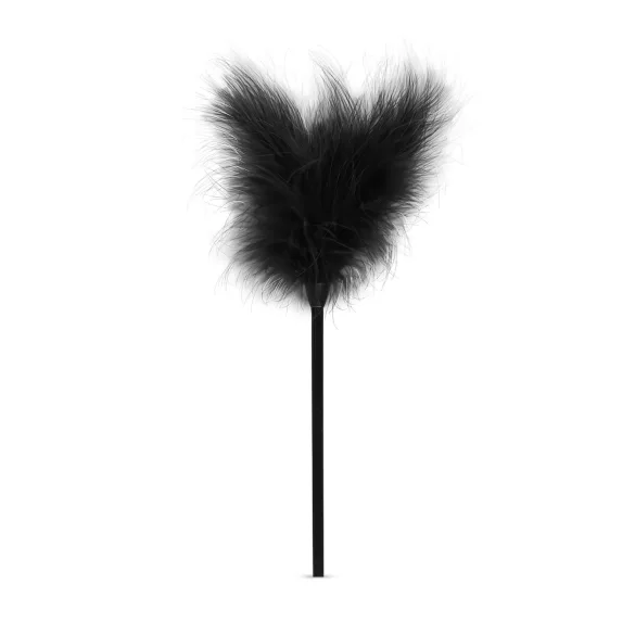 Secret Pleasure Chest - Fortgeschrittenes 14-teiliges BDSM-Set (schwarz)