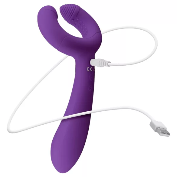 Easytoys Couple - wiederaufladbarer, wasserdichter Paarvibrator (lila)