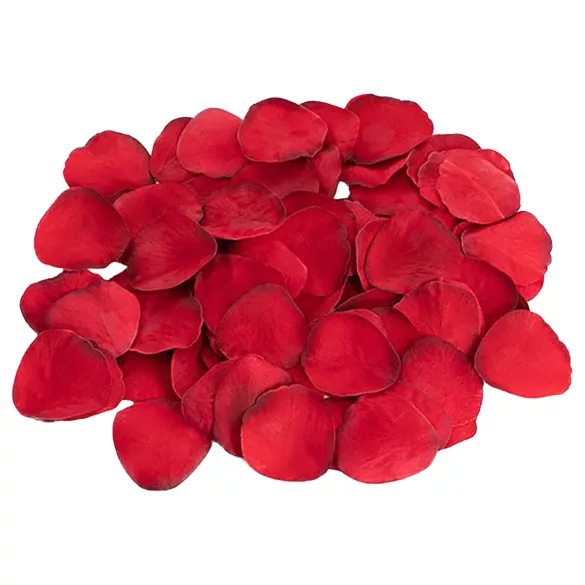 Dreamtoys Amour - Herzvibrator Geschenkset (rot)