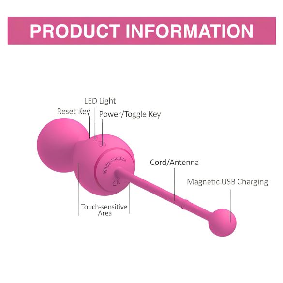 Magic Motion Kegel Master - Intelligentes Liebeskugel-Duo (Pink)