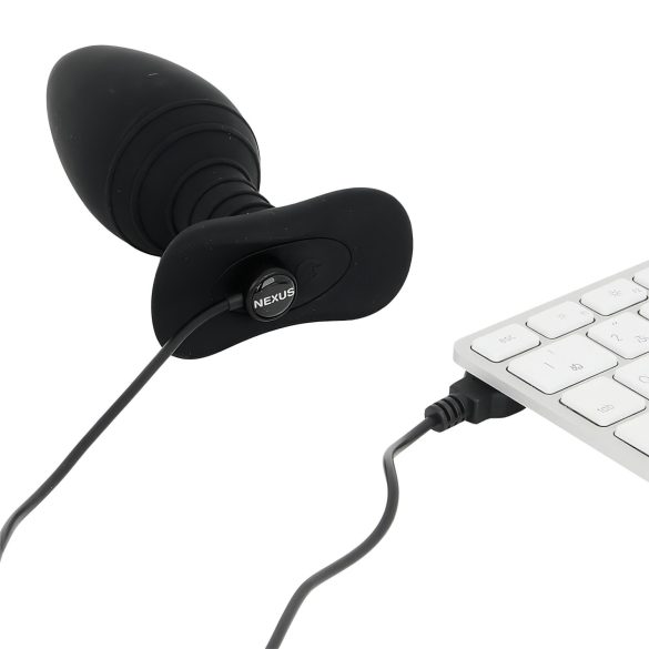 Nexus Ace - Fernbedienung, Akku Analvibrator (klein)