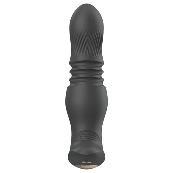 Aixiasia Roy - Akku-Radio-Analdildo (Schwarz)