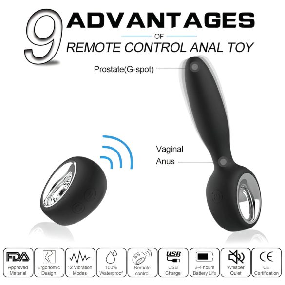 Aixiasia Dylon-Remote - Akku-Radio Analdildo (Schwarz)