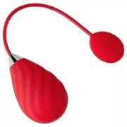 Vibrations-Eier